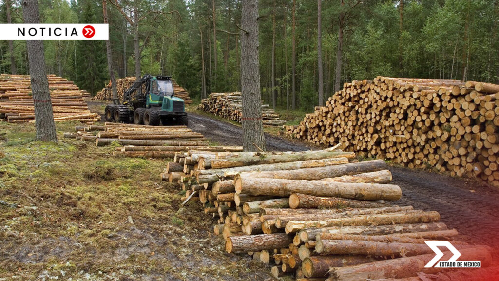 Las tres entidades refuerzan cooperación para proteger bosques del centro del país de la tala ilegal, incluyendo operativos y bases de seguridad conjunta.